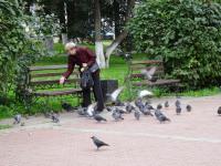 5281 kostroma, femme aux pigeons, krasnie ryady