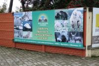 5714 viatskoe, affiche de zoo